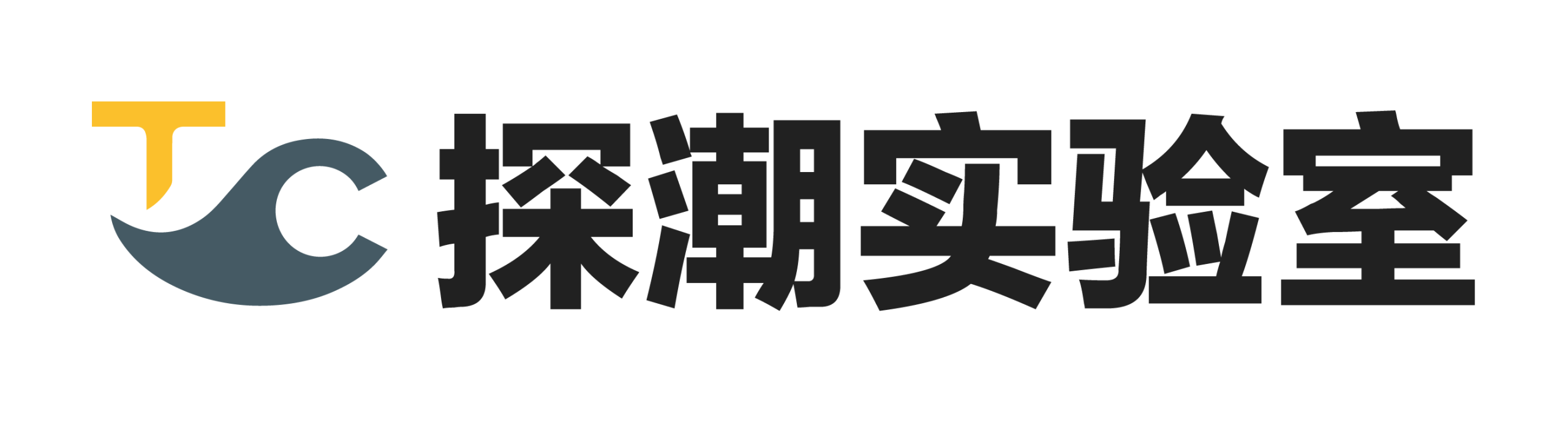 Logo 探潮实验室